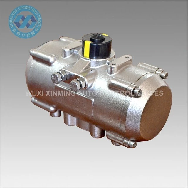 Stainless Steel Pneumatic Actuator 2