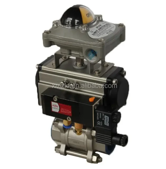 SR Pneumatic Rotary Actuator